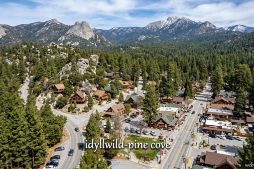 Idyllwild-Pine Cove